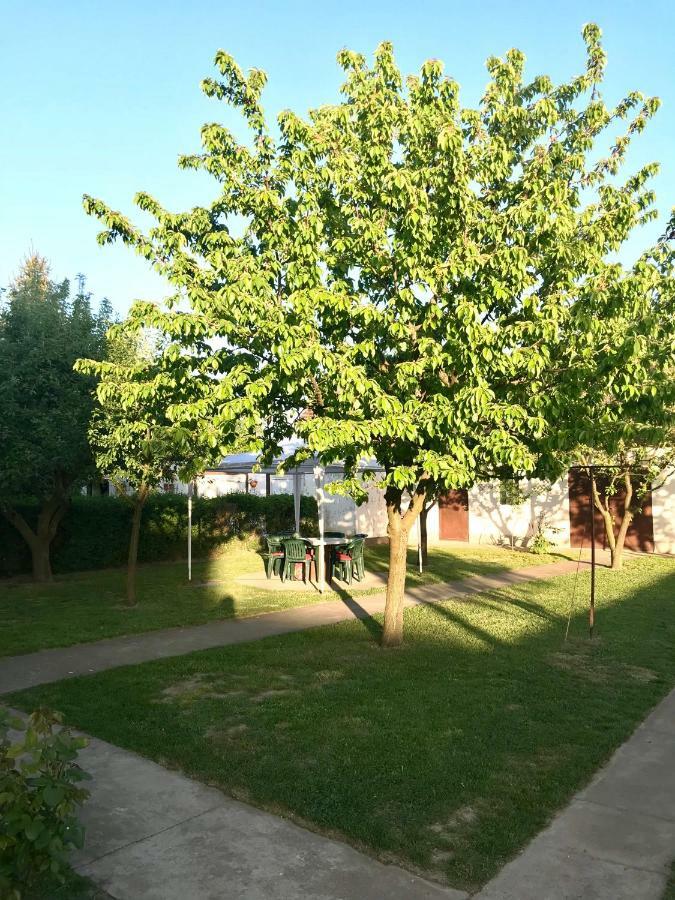 Apartmani Matosevic Ivankovo المظهر الخارجي الصورة